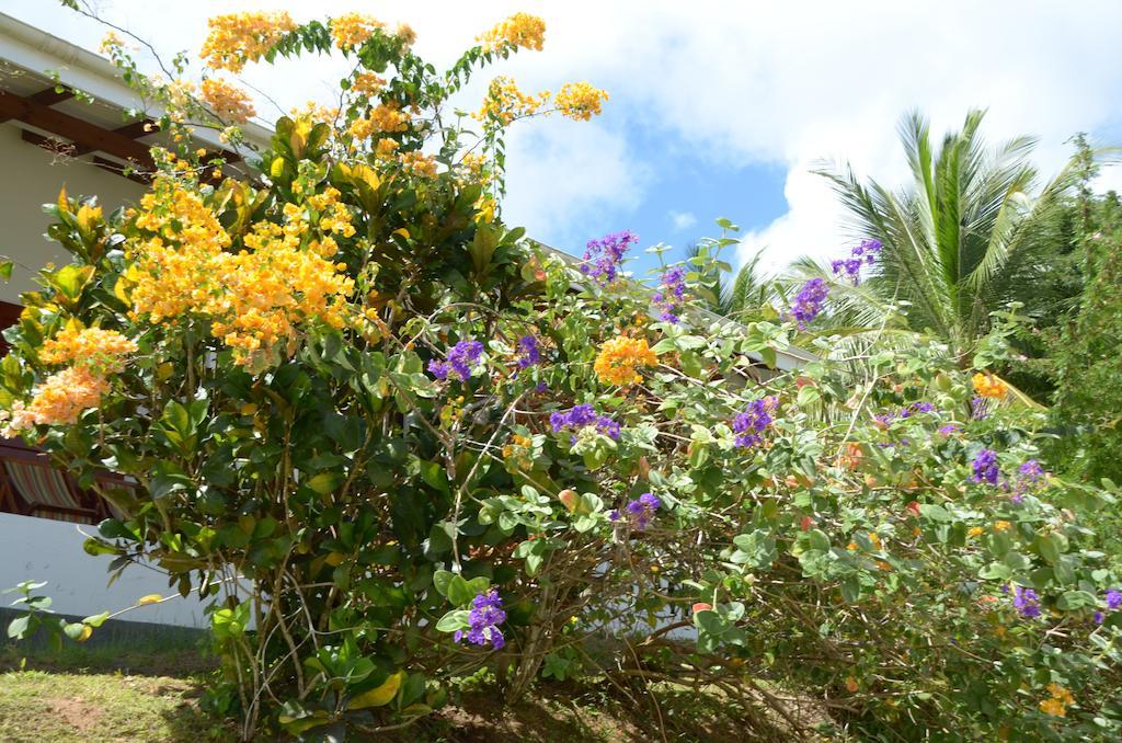 La Residence Baie Lazare (Mahe) Exterior foto
